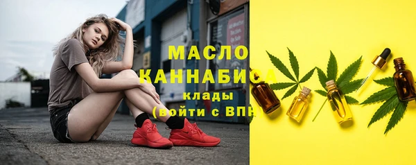 шишки Грязовец