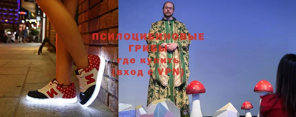трава Елабуга