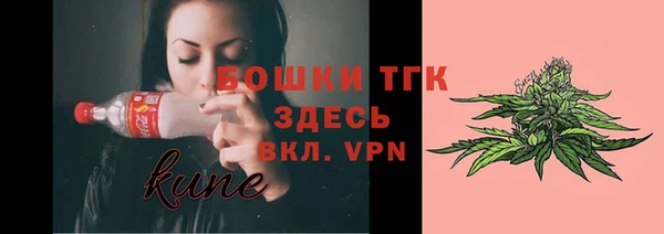 эйфоретик Елизово