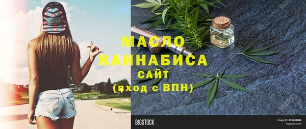 шишки Грязовец