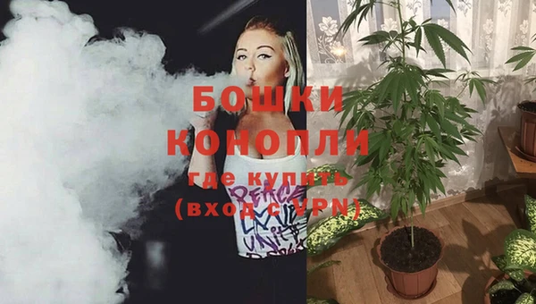 трава Елабуга