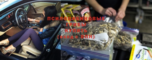 mix Ельня
