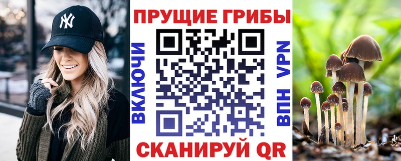 Галлюциногенные грибы Cubensis  Заводоуковск 